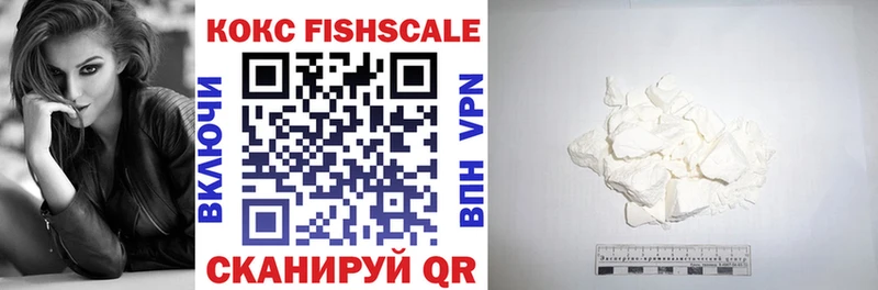 Купить закладки  Дзержинский  Cocaine Fish Scale 