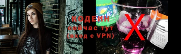 стаф Касимов