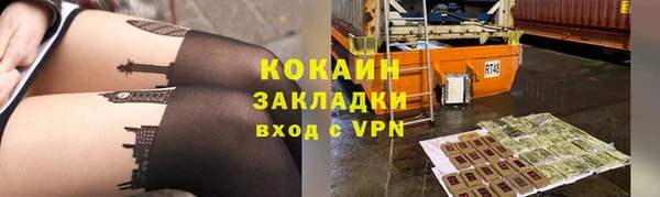 стаф Касимов