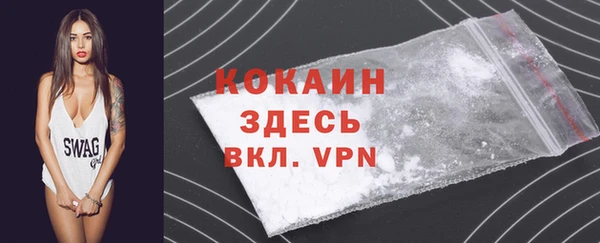 стаф Касимов
