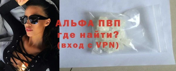 стаф Касимов