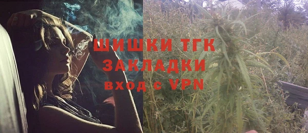 стаф Касимов