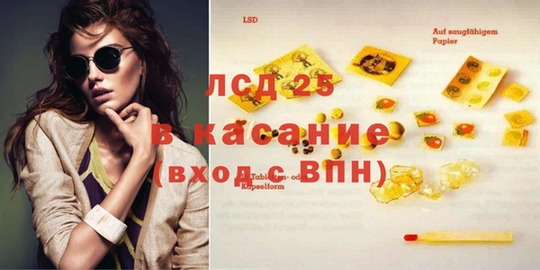 стаф Касимов