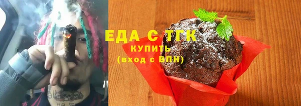 стаф Касимов